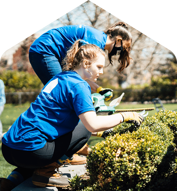 A Surv crew pruning a garden